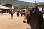 Etiopie 2011
